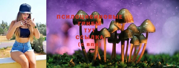 СК Ладушкин